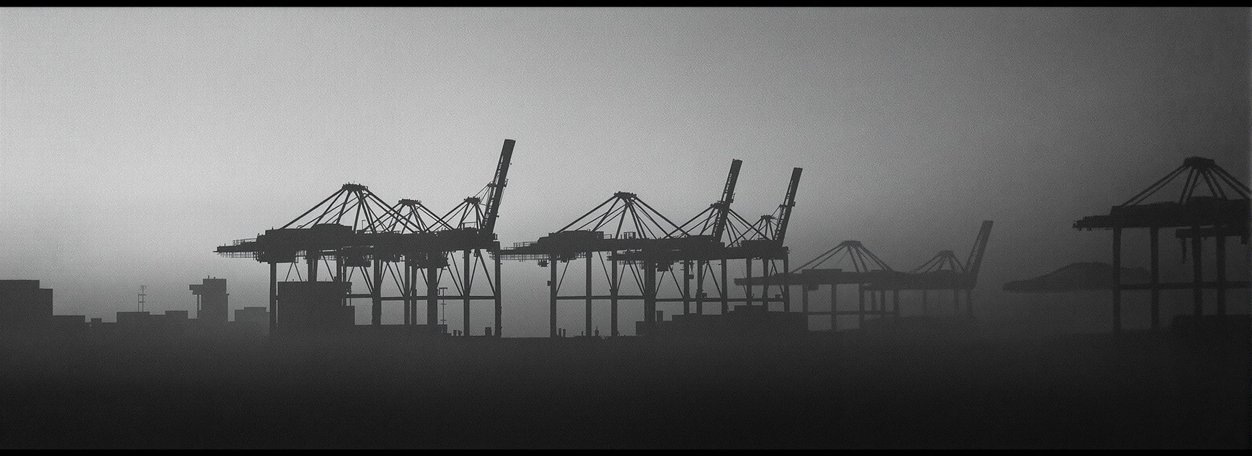 Container port at first light — cranes in silhouette against a fog sky